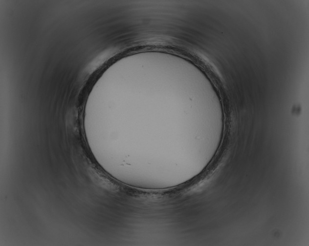 X0000091370970200708311522