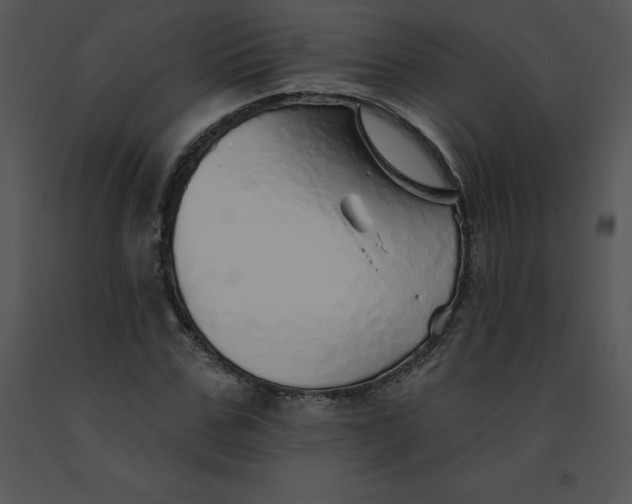 X0000091370971200708311522