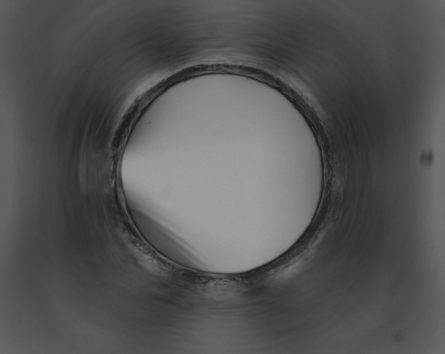 X0000091370974200708311522