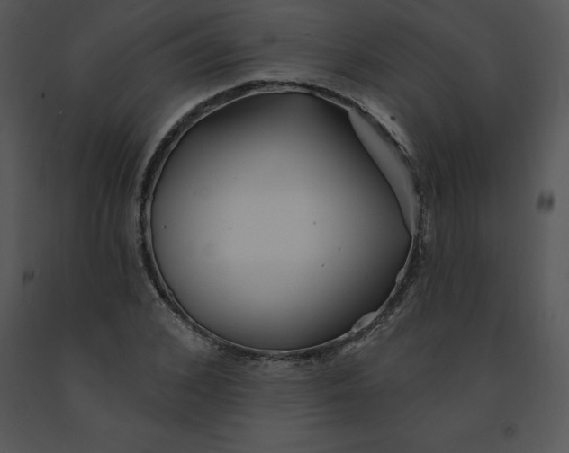 X0000091370976200708311522