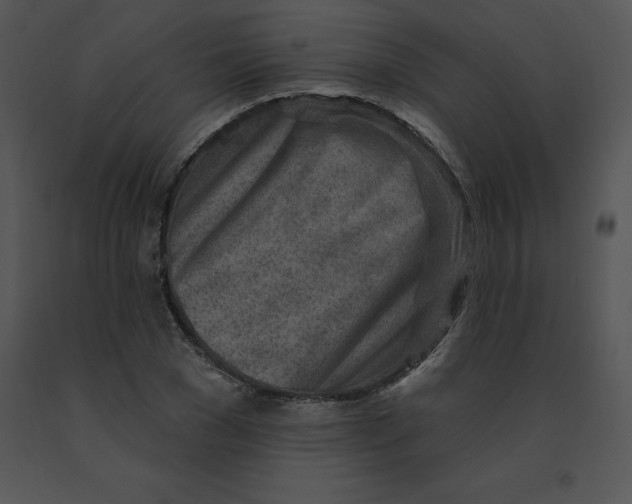 X0000091370977200708311522