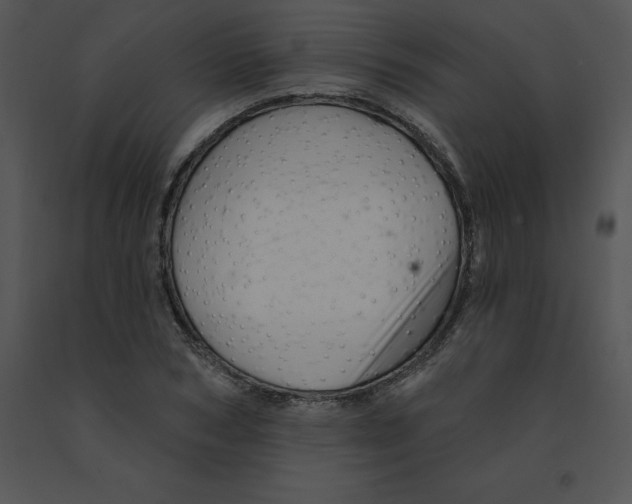 X0000091370978200708311522