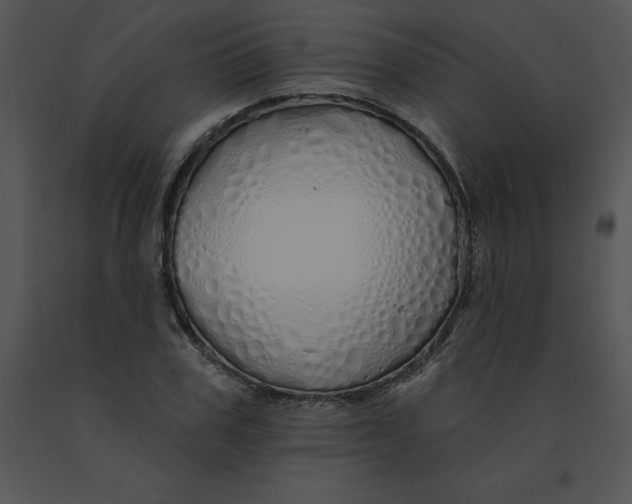 X0000091370979200708311522