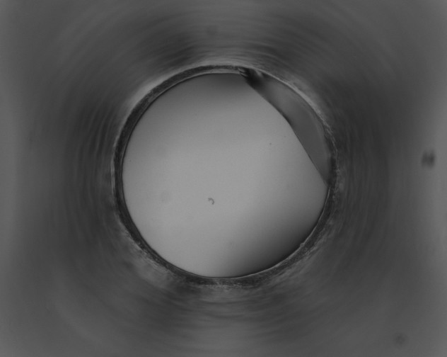 X0000091370980200708311522