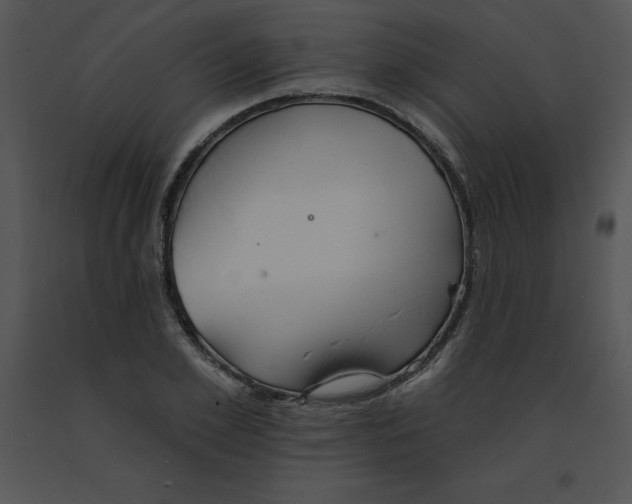 X0000091370981200708311522