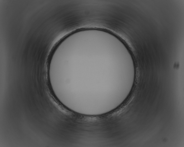 X0000091370982200708311522