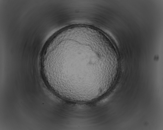 X0000091370983200708311522