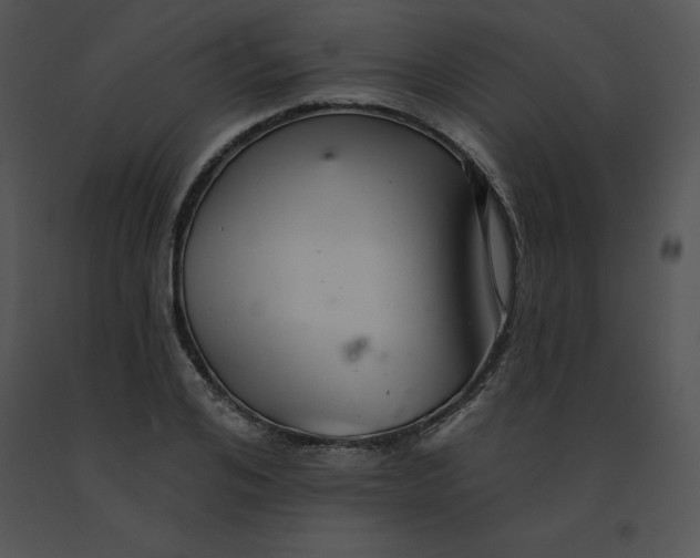 X0000091370984200708311522