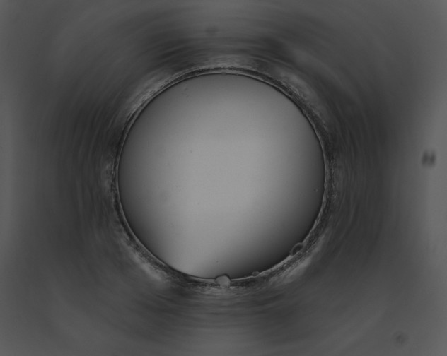 X0000091370985200708311522