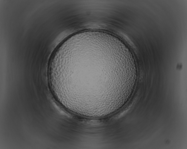 X0000091370986200708311522