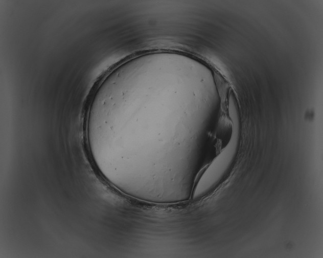 X0000091370987200708311522