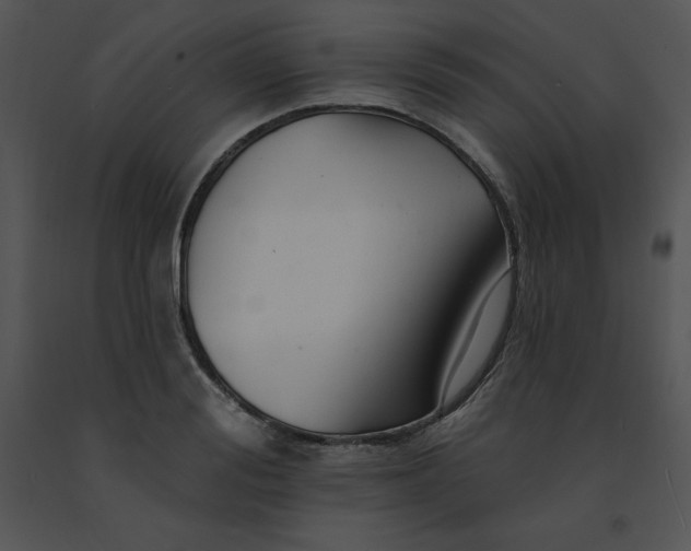 X0000091370988200708311522