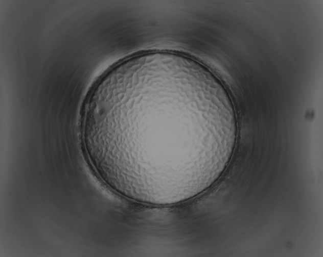 X0000091370990200708311522