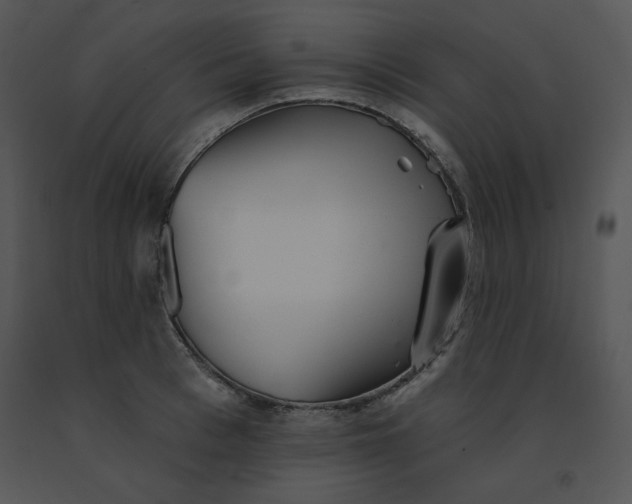 X0000091370993200708311522