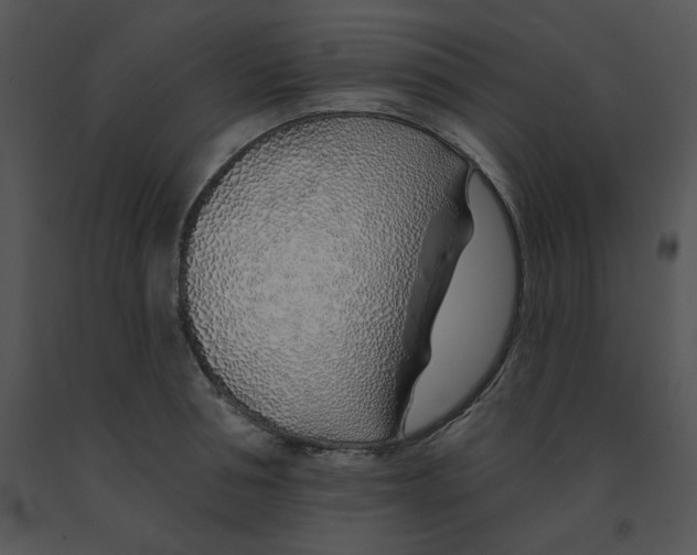 X0000091370994200708311522