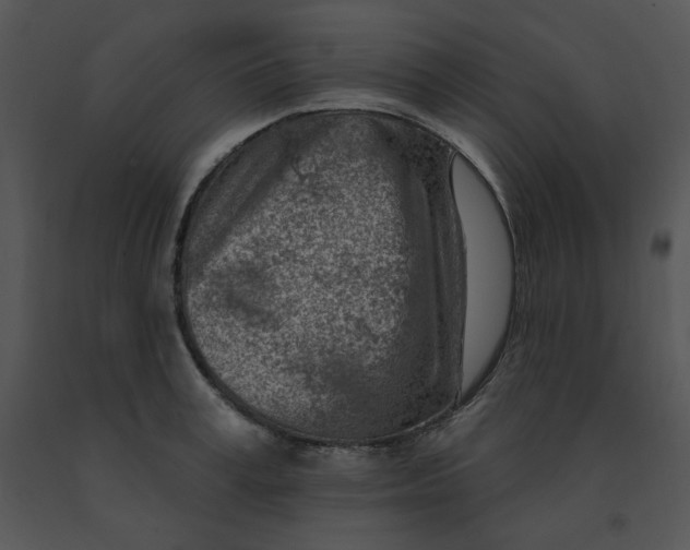 X0000091370995200708311522