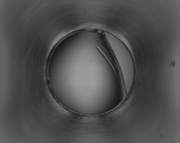 X0000091370997200708311522