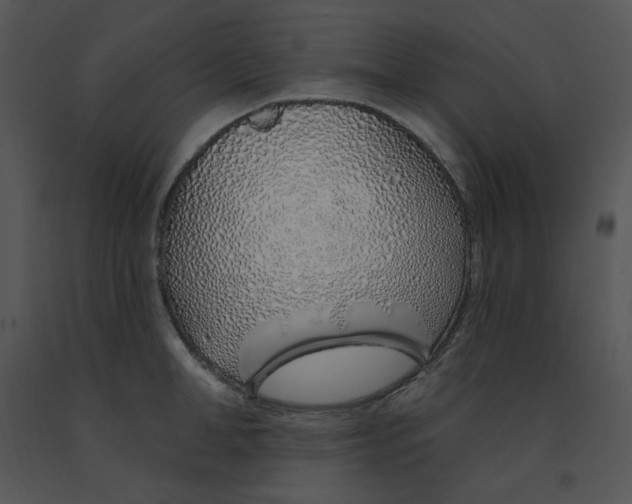 X0000091370998200708311522