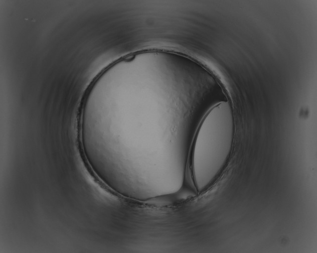 X0000091370999200708311522