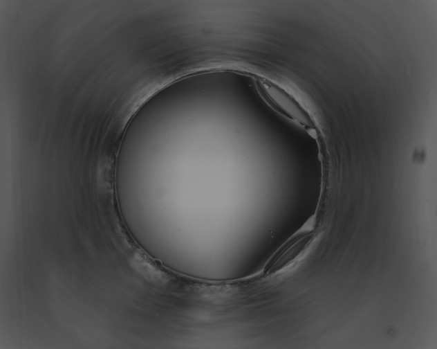 X0000091371001200708311522