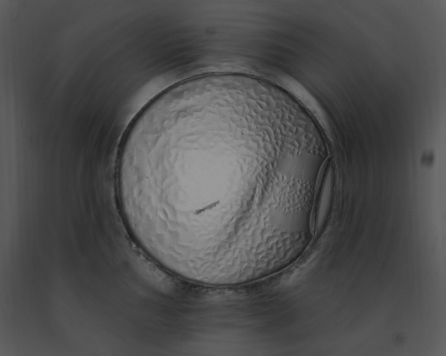 X0000091371002200708311522