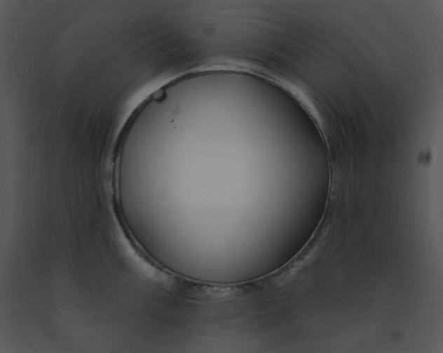 X0000091371003200708311522