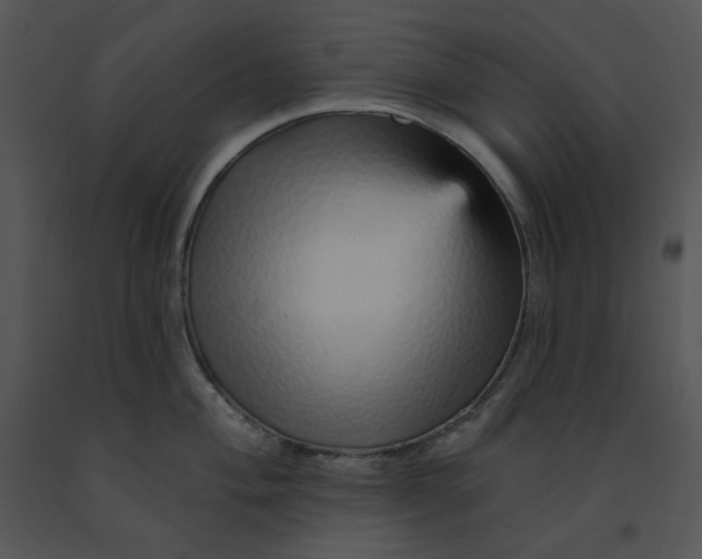 X0000091371004200708311522