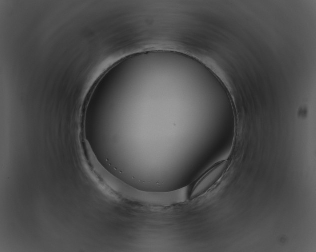 X0000091371005200708311522