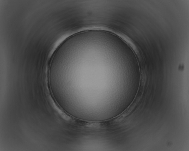 X0000091371006200708311522