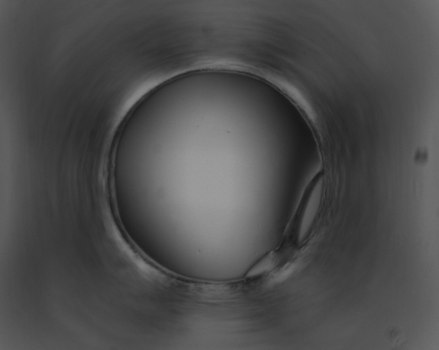 X0000091371007200708311521