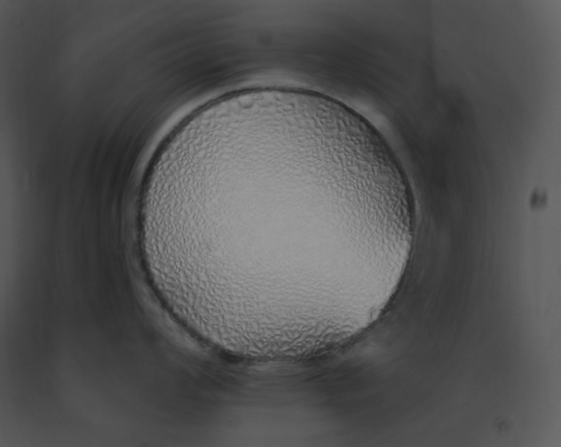 X0000091371008200708311521