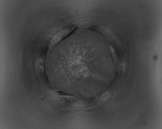 X0000091371010200708311521