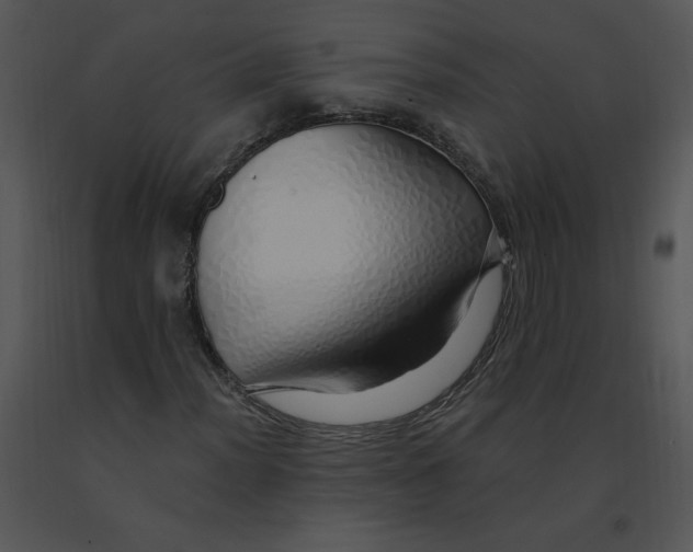 X0000091371012200708311521