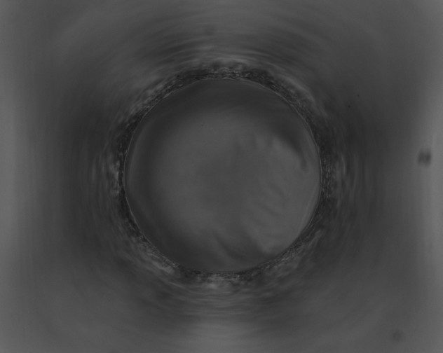 X0000091371013200708311521