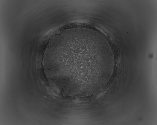 X0000091371014200708311521