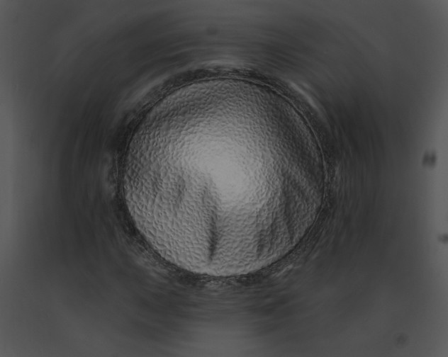 X0000091371015200708311521