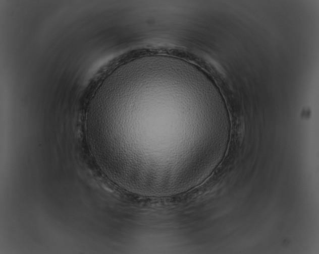 X0000091371016200708311521