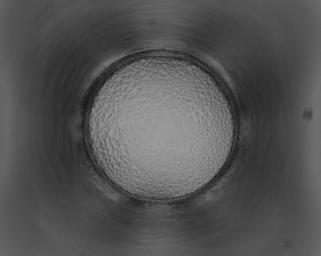 X0000091371019200708311521