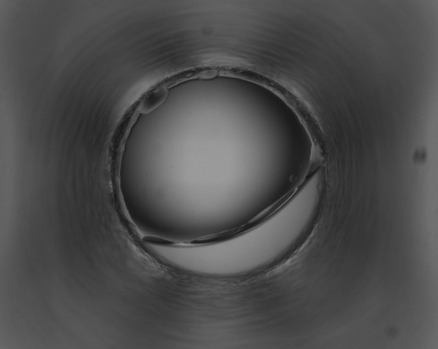 X0000091371022200708311521