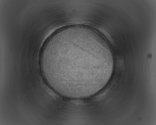 X0000091371023200708311521