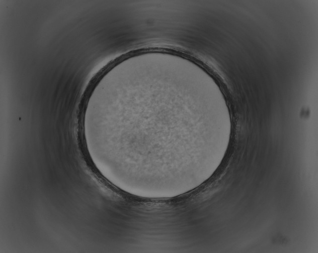 X0000091371024200708311521