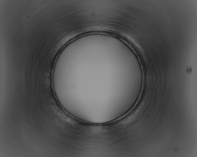 X0000091371025200708311521