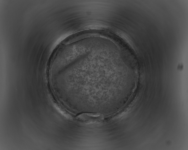 X0000091371026200708311521