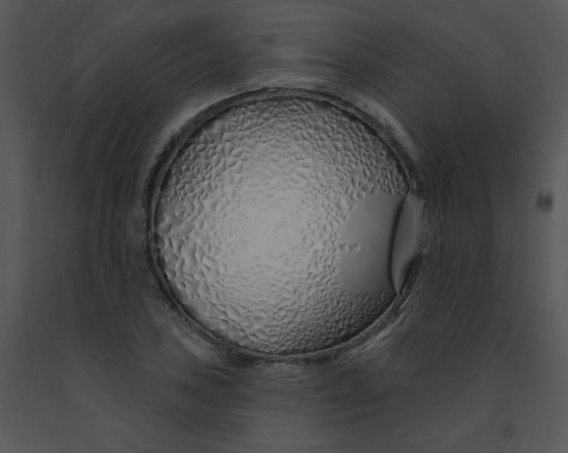 X0000091371027200708311521