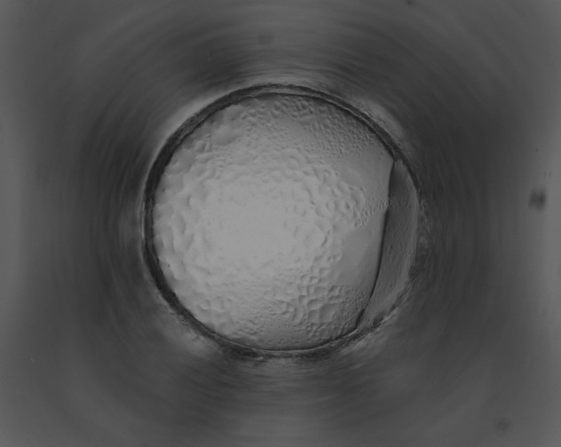 X0000091371028200708311521