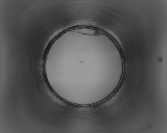 X0000091371029200708311521