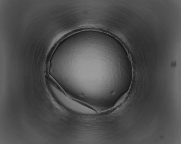 X0000091371030200708311521