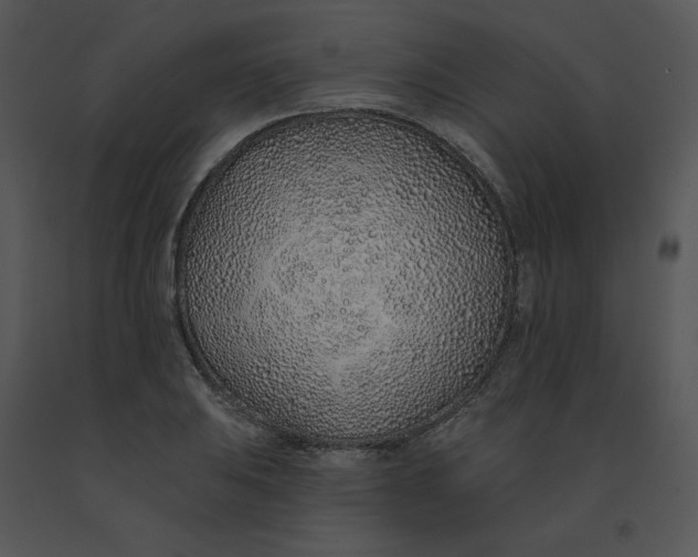 X0000091371031200708311521