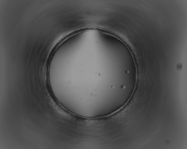 X0000091371032200708311521