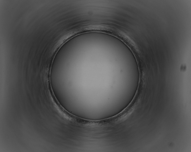 X0000091371033200708311521